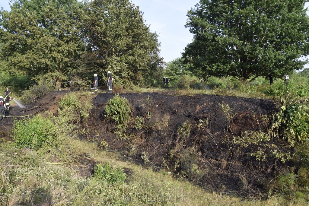 Waldbrand Koeln Hoehenhaus Hoehenfelder Mauspfad P128.JPG - Miklos Laubert